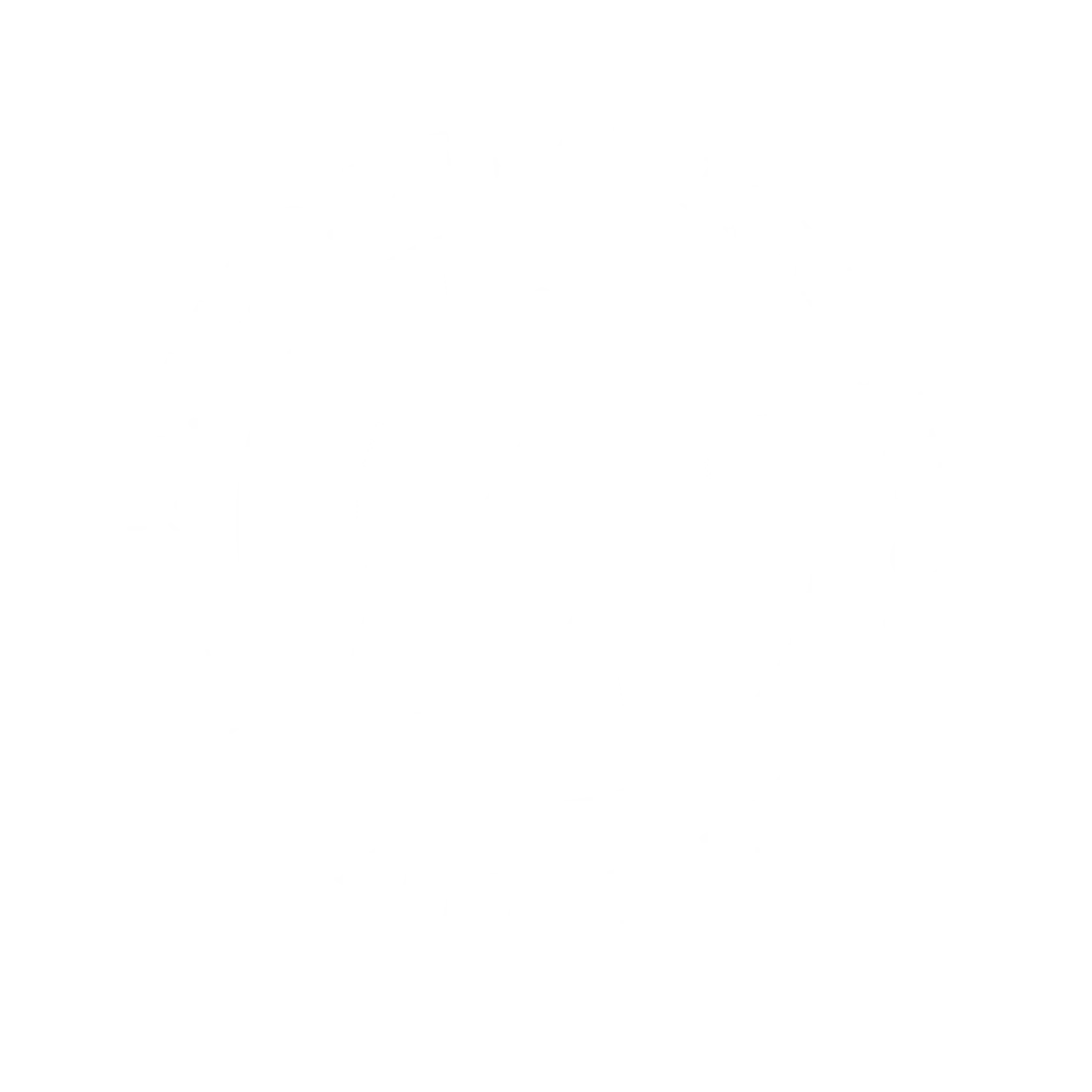 EE PP SAN FERNANDO ESCOLAPIOS POZUELO team crest